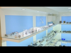 Salón de exposiciones 4